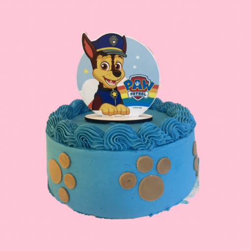 Paw patrol